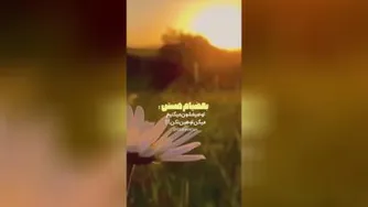 بعضیا هم هستند توصیفشون میکنیم میگن توهین نکن :)