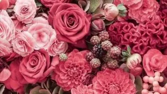 یا مهدی ادرکنی