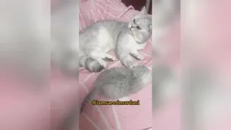 این قرنطینه خیلی چیزا را بر ملا کرده