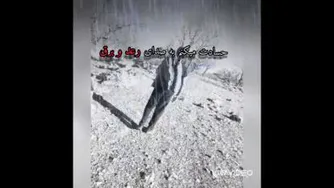 غمگین