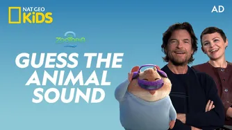 آگهی: حدس بزن صدای چه حیوانیه؟ — زوتوپیا ۲ (Nat Geo Kids)