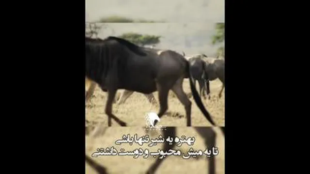 سلطان