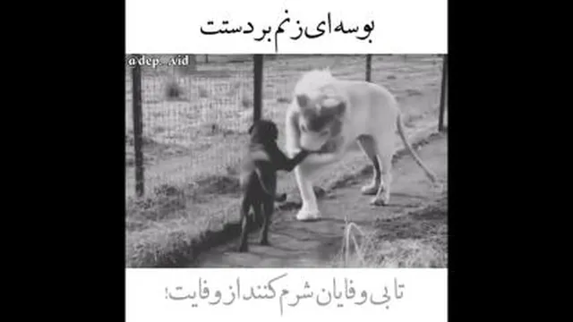 مرام