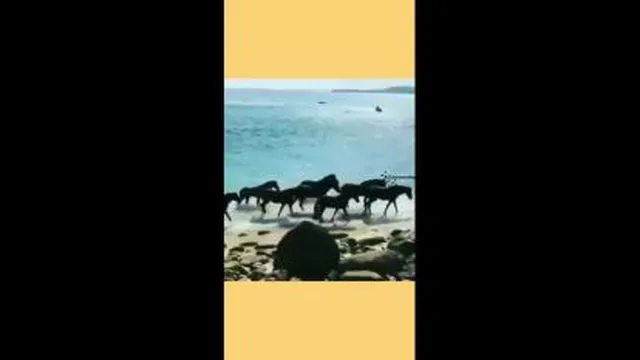 سخنان ناب استاد عرشیانفر