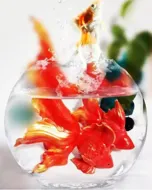 &nbsp;مجسمه با عکس