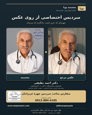 طراحی و ساخت سردیس اختصاصی دکتر احمد نظیفی از روی عکس مرجع، با توجه دقیق به شباهت چهره، حالت نگاه، پوشش پزشکی و جزئیات گوشی معاینه انجام شده است. سفارش ساخت سردیس در تهران با ابعاد و متریال دلخواه پذیرفته میشود.