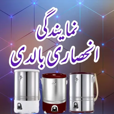 •نمایندگی بالدی•