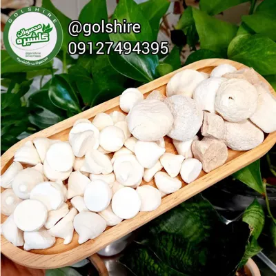 حکیم علی درخشان