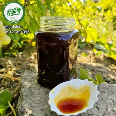 بهترین متخصص طب سنتی در قم