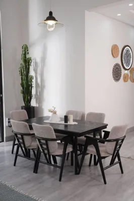 شستشویی مبلمان خانگی