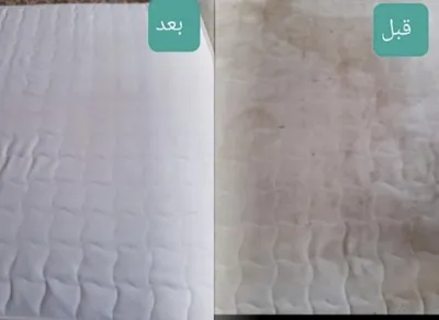 پاکیزگی را با قالیشویی ناب تجربه کنید💎