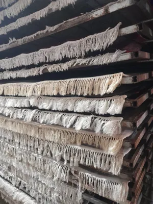 خشک کردن بدون تخریب ریشه