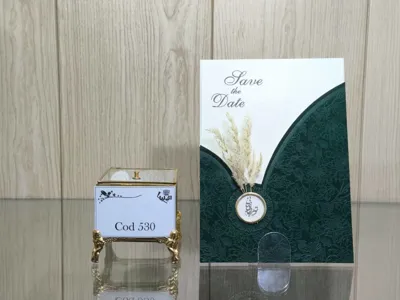 کارت عروسی ایلیا