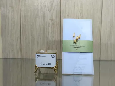 کارت عروسی ایلیا