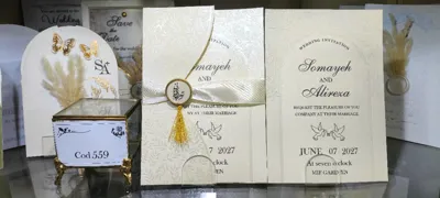 کارت عروسی ایلیا