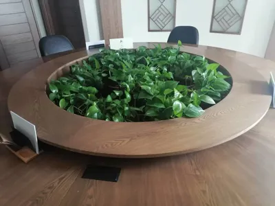 احداث ديوار سبز ادارات در تهران

