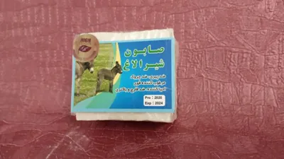 سلامتکده بهشتی