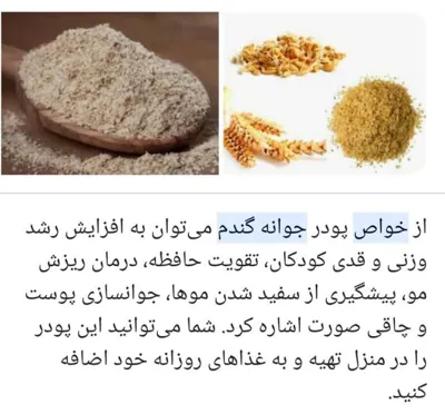 خواص جوانه گندم&nbsp;