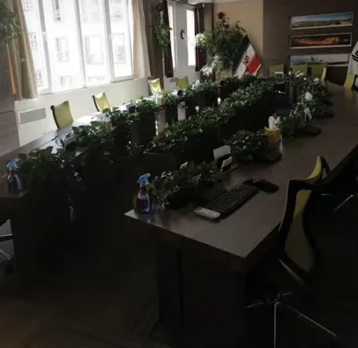 باغچه كارى حياط و ويلا در تهران