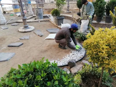 باغچه كارى حياط و ويلا در تهران 
