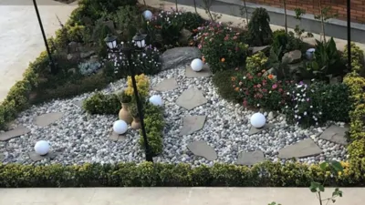 گل كارى حياط در تهران 