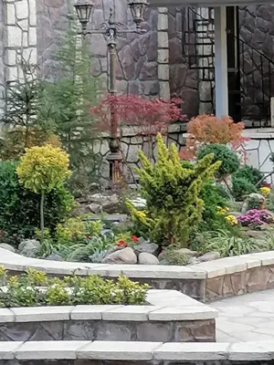 گل كارى حياط در تهران 
