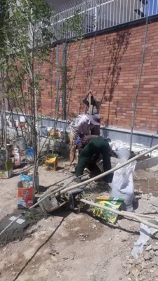 باغچه كارى حياط و ويلا در تهران
