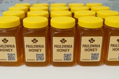 عسل پالونیا در ایران