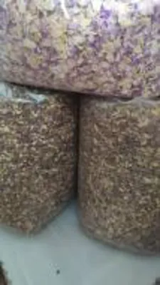 انواع خشکبار