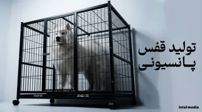 تولید کننده باکس سگ تهران&nbsp;