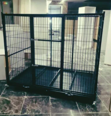 خرید باکس سگ