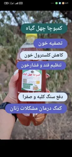 مزاج شناسی تخصصی
