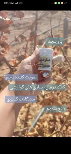 مزاج شناسی تخصصی
