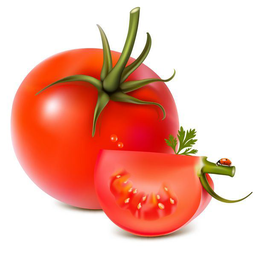 خرید بذر در شیراز