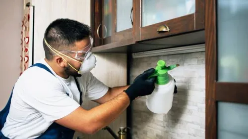 سم پاشی خانگی در اصفهان