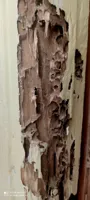 سم پاشی شرکت در اصفهان