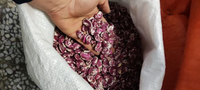حبوبات ارزان در اصفهان
