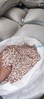 حبوبات ارزان در اصفهان
