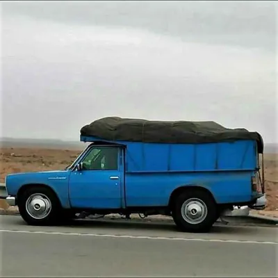 باربری در هروی