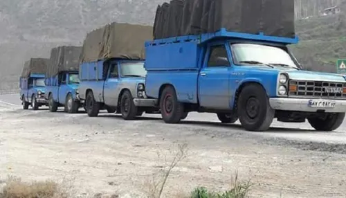 باربری در هروی