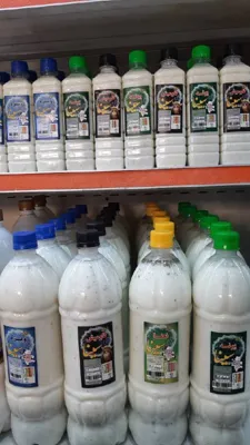 دوغ و ماست بوعلی سینا