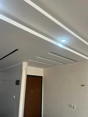 پروژه های سقف کاذب