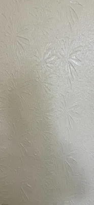 پروژه های پتینه برجسته