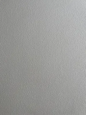 پتینه برجسته