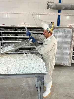 اندازه گیری عوامل فیزیکی و شیمیایی