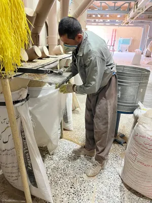 اندازه گیری عوامل فیزیکی و شیمیایی