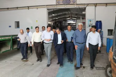 اسپتیک