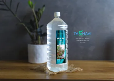 خار شتر