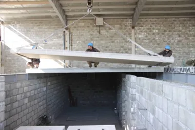 قیمت هالوکور