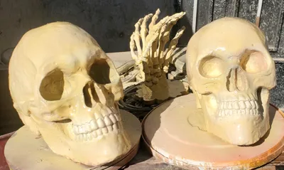 علیرضا پویایی مهر